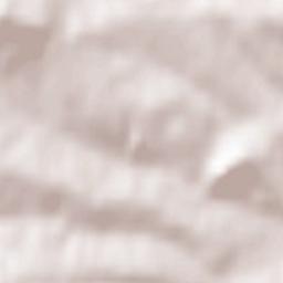 Stanisław Dolny Terrain Map