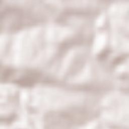 Nowy Wiśnicz Terrain Map