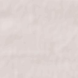 Popilnia Raion Terrain Map