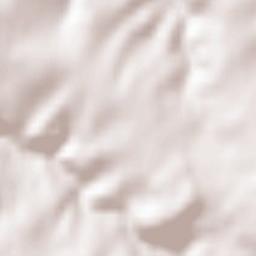 Longkamp Terrain Map