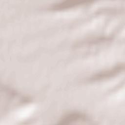 Partenheim Terrain Map