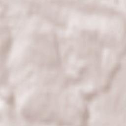 Bischbrunn Terrain Map