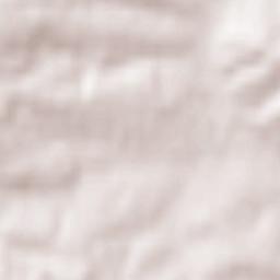 Zebrzydowice Terrain Map