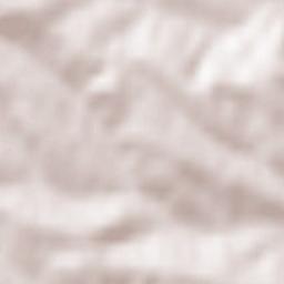 Siedliska Terrain Map