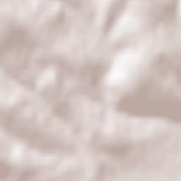 Wiśniowa Terrain Map