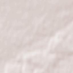 Burkivtsi Terrain Map