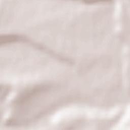 Rüdesheim Terrain Map