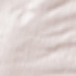 Ober-Saulheim Terrain Map