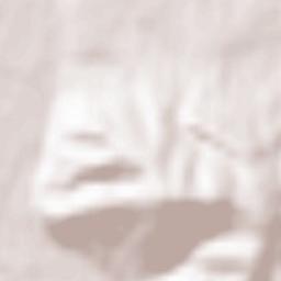 Jaroszowice Terrain Map