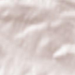 Trzciana Terrain Map