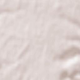 Veliki Budishcha Terrain Map