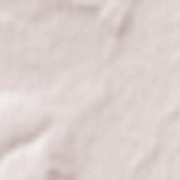 Dvorichna Terrain Map