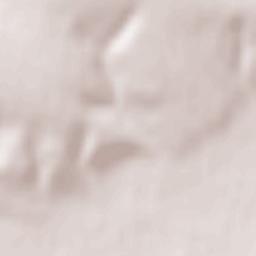 Lozno-Oleksandrivka Terrain Map