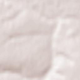 Slashchyovskaya Terrain Map