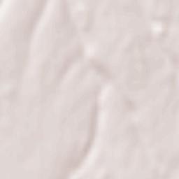 Néville Terrain Map