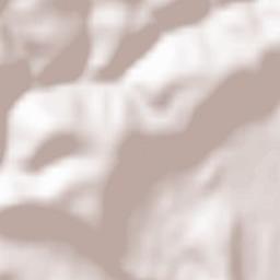 Neufmanil Terrain Map