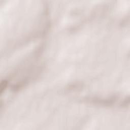 Wöllstein Terrain Map