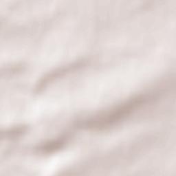 Gau-Bickelheim Terrain Map