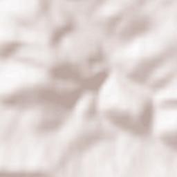 Skawinki Terrain Map