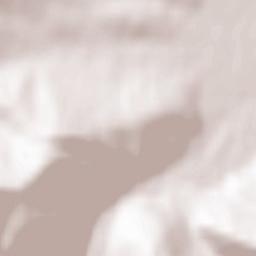 Powiat myślenicki Terrain Map