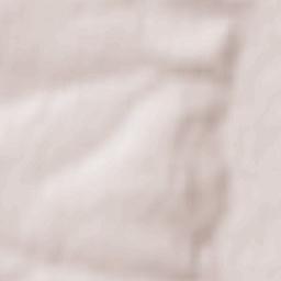 Guntersblum Terrain Map