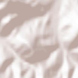 Targanice Terrain Map