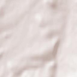 Wiśniowa Terrain Map