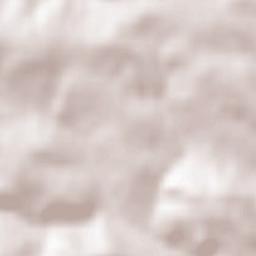 Jastrzębia Terrain Map