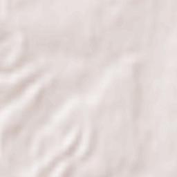 Raychikhinsk Terrain Map