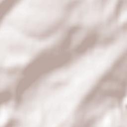 Trierweiler Terrain Map