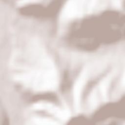 Zembrzyce Terrain Map