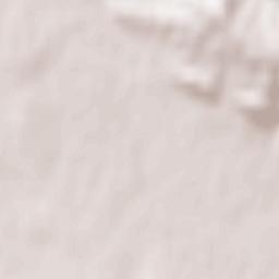 Wojaszówka Terrain Map