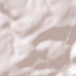 Obermoschel Terrain Map