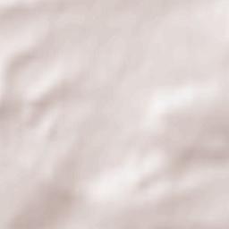 Dittelsheim-Heßloch Terrain Map