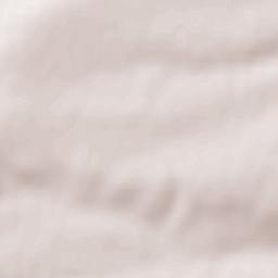 Bechtheim Terrain Map