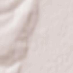 Mettenheim Terrain Map