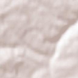 Reichenberg Terrain Map