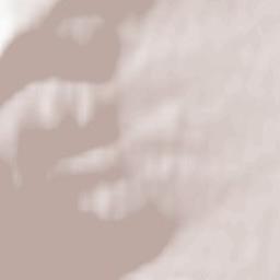 Buczkowice Terrain Map