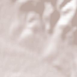 Łodygowice Terrain Map