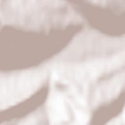 Sucha Beskidzka Terrain Map