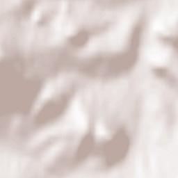 Kasina Wielka Terrain Map