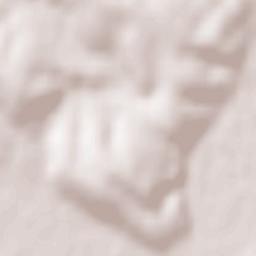 Trzcinica Terrain Map