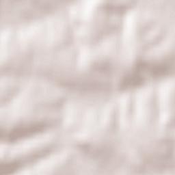 Jasienica Rosielna Terrain Map