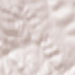 Powiat brzozowski Terrain Map