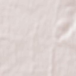 Bila Tserkva Raion Terrain Map