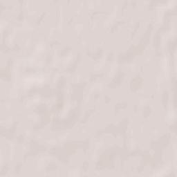 Rokytne Raion Terrain Map