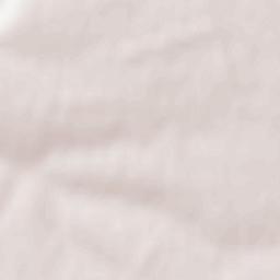 Petrenki Terrain Map