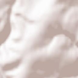 Gusterath Terrain Map