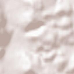 Leutenbach Terrain Map