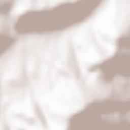 Lachowice Terrain Map